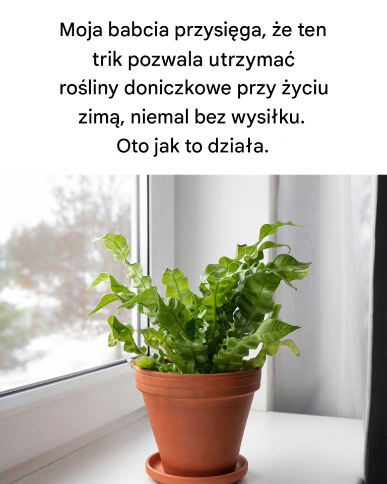 Takie mądre!