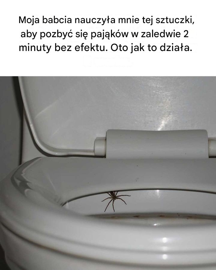 Chciałbym, żeby to ja na to wpadł! Sprytne!