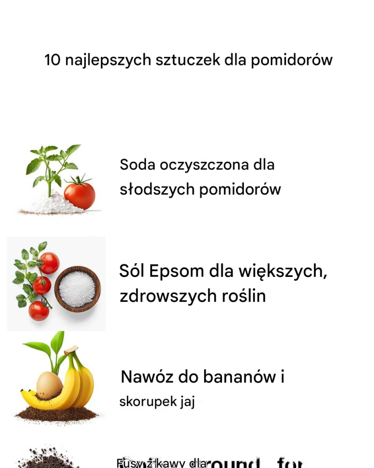 10 najlepszych sztuczek dla pomidorów