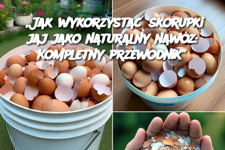 Jak wykorzystać skorupki jaj jako naturalny nawóz: Kompletny przewodnik