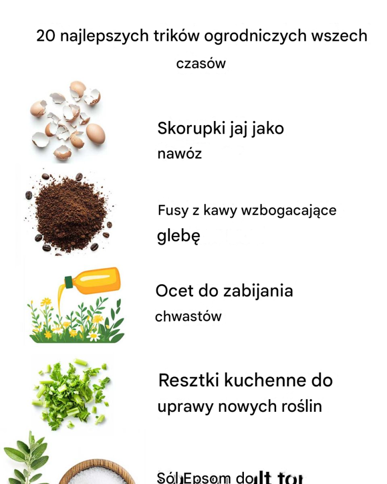 20 najlepszych trików ogrodniczych wszech czasów