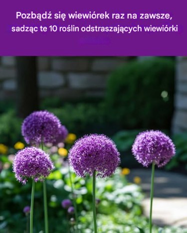 Tytuł: 10 Roślin, Które Pomogą Ci Pozbyć się Wiewiórek Raz Na Zawsze