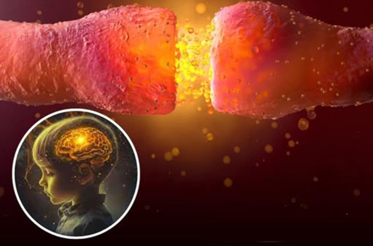 Neurobiolodzy w końcu odkryli spoiwo, które podtrzymuje wspomnienia