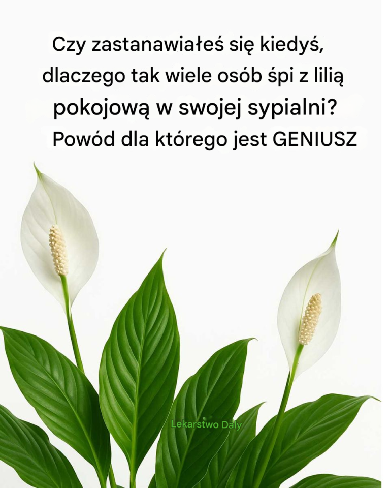 Tak genialne!