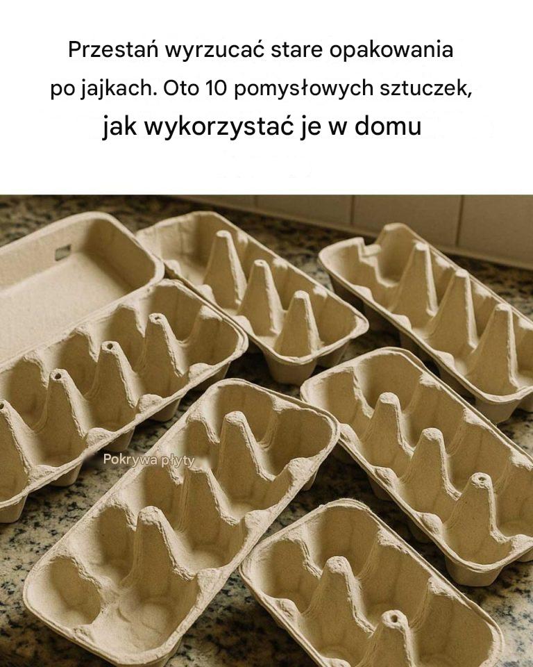 Przestań wyrzucać stare opakowania po jajkach. Oto 10 pomysłowych wskazówek, jak wykorzystać go w domu.