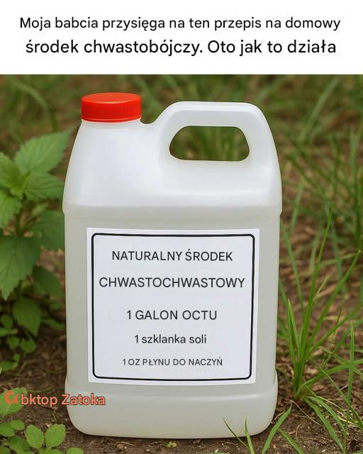 Moja babcia przysięga na ten przepis na domowy środek chwastobójczy. Oto jak to działa